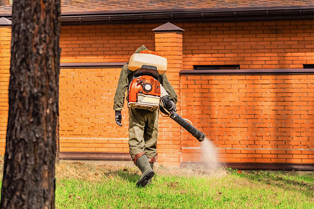 Trusted Rodent Control service in Queensland, MD - Nex Pest Control